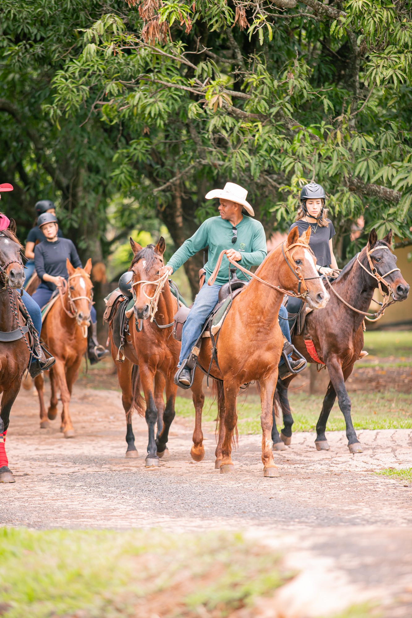 Cavalgada pelos caminhos da fazenda