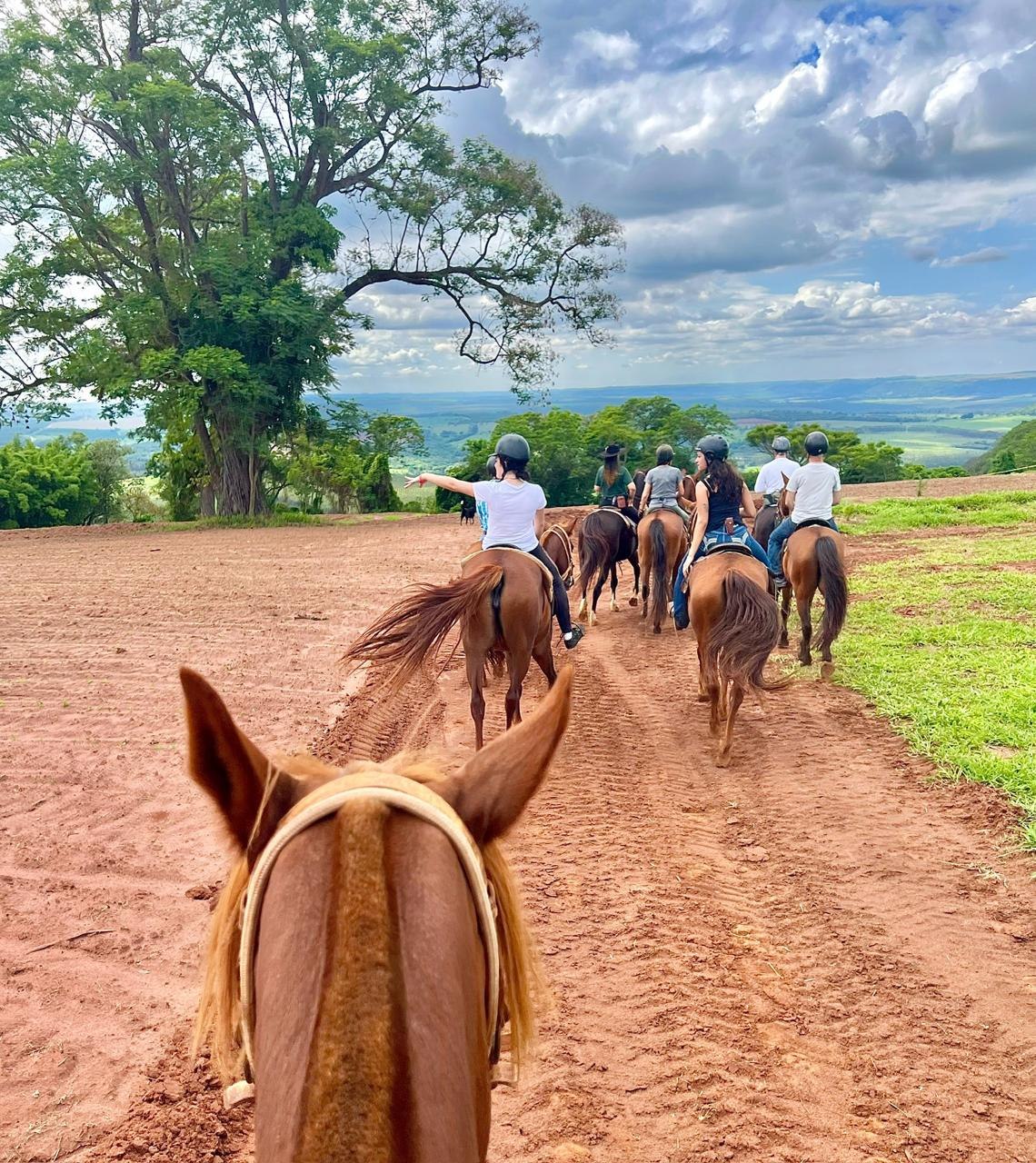 Cavaleiros a caminho do vale