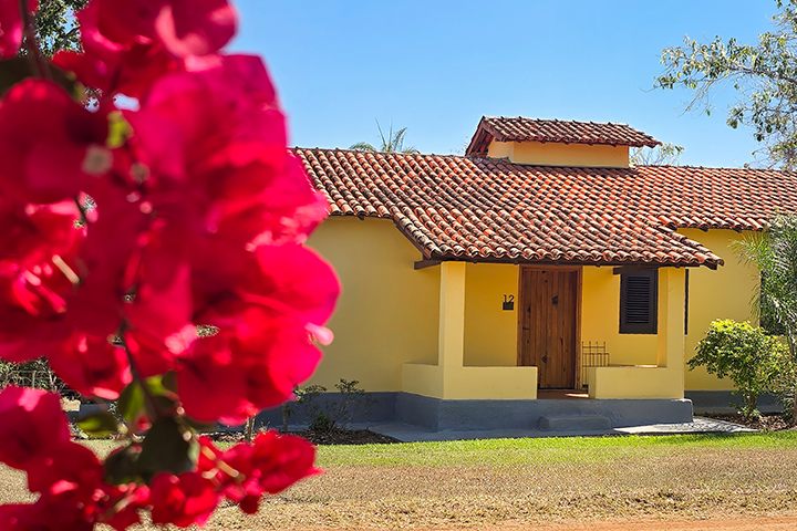 Fachada do Chalé 12 com primaveras floridas