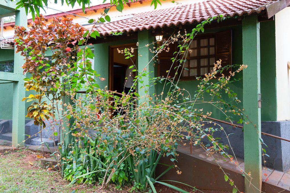 Varanda verde do Chalé 17 entre plantas