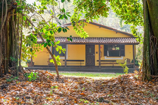 Chalé 5 entre as árvores, com folhas secas no chão