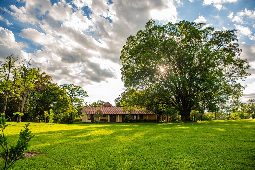 Chalé 7 entre o gramado e uma grande árvore