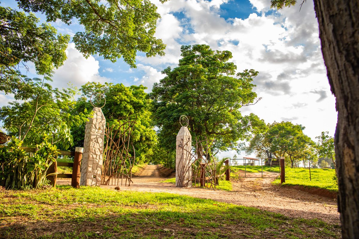 A porteira da fazenda entre árvores, com o caminho de terra