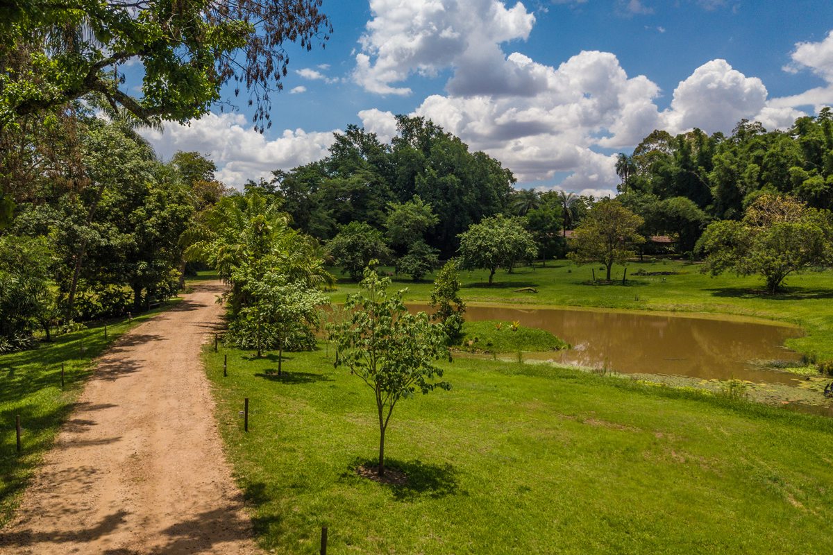 Caminho de terra ao lado do lago