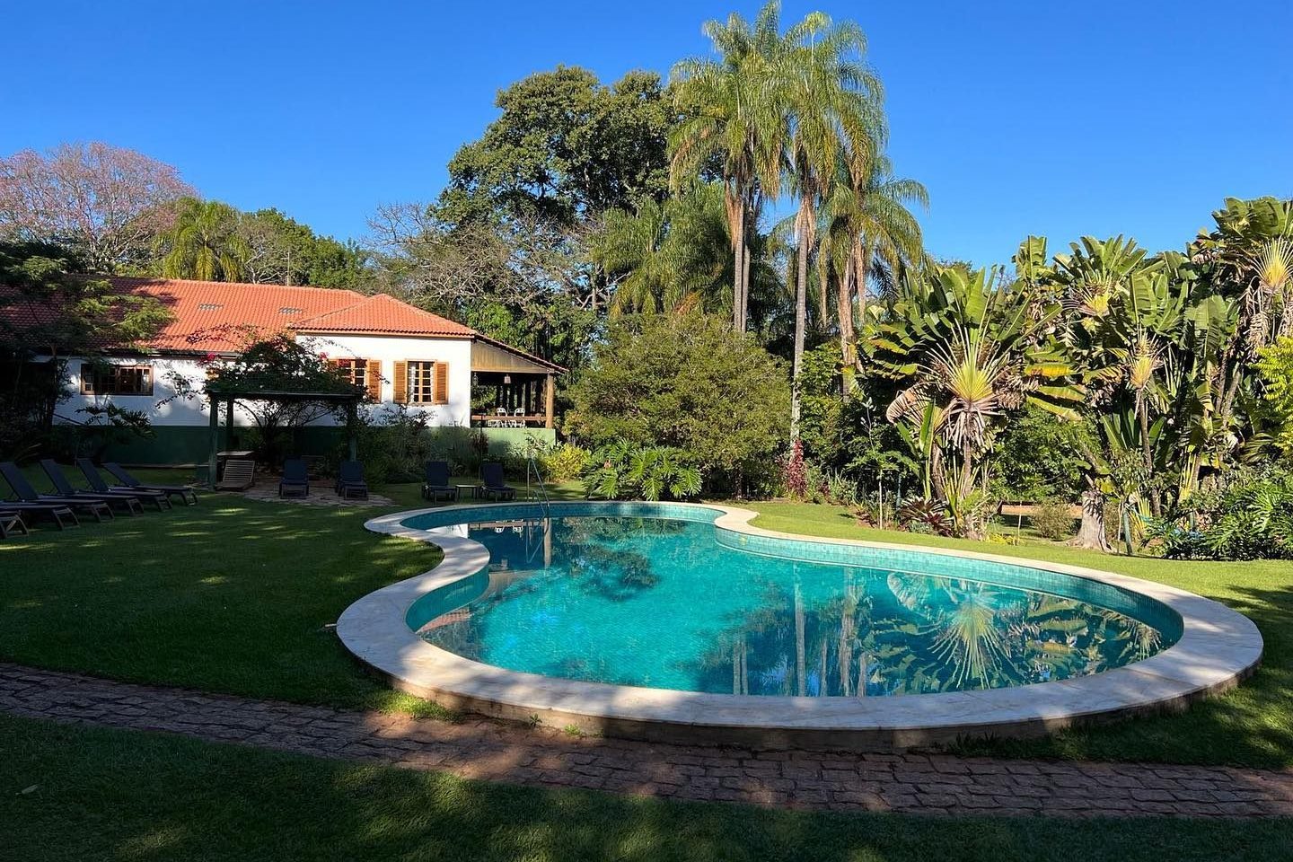 Piscina de água natural entre palmeiras e jardins