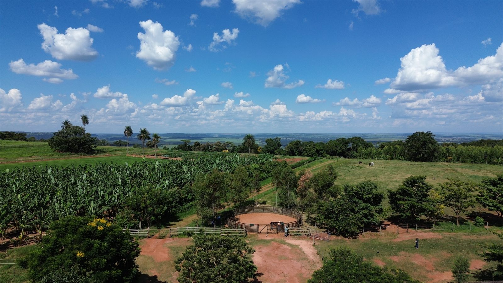 O redondel entre árvores, com o vale ao fundo