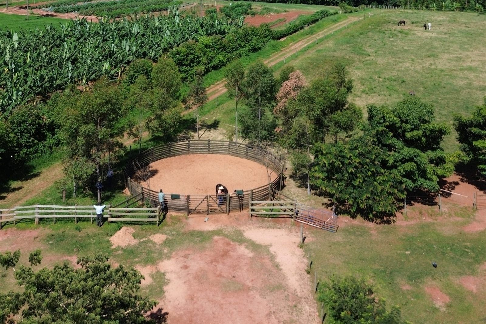 O redondel e o pasto dos cavalos