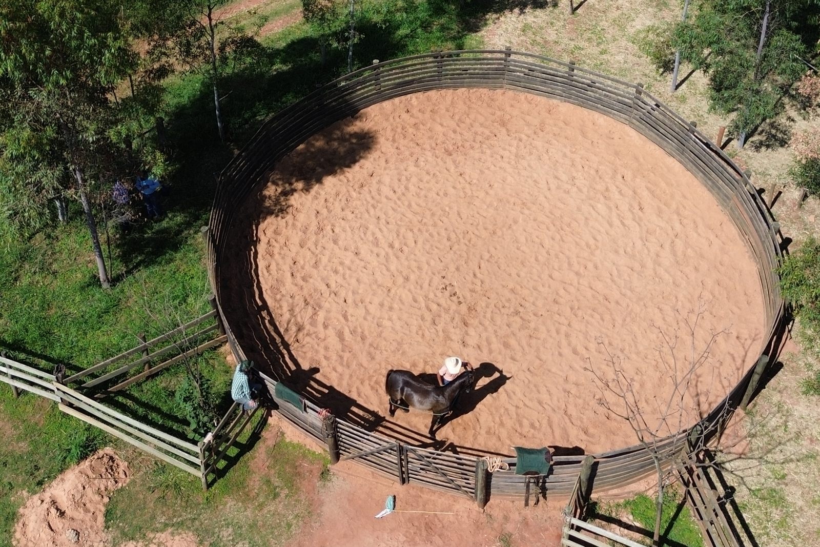 Doma de um cavalo no redondel, vista de cima