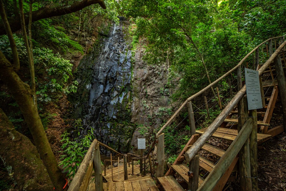 As escadas até a cascata