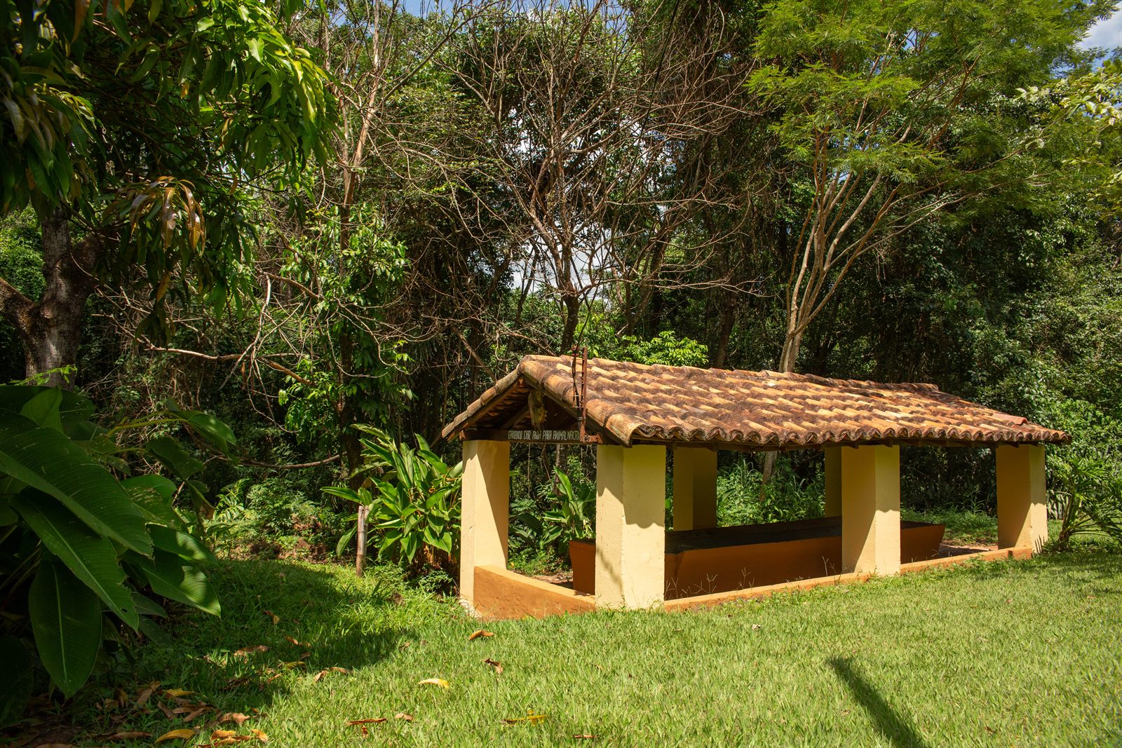 O tanque comunitário entre as árvores