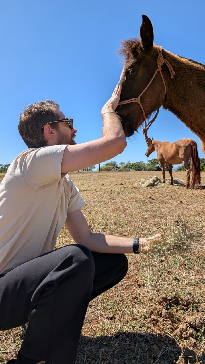 Hóspede fazendo carinho em um dos animais da fazenda