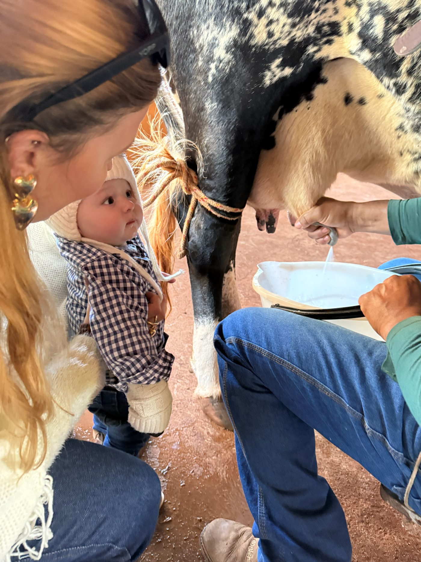 Ordenha no curral, com a família acompanhando de perto