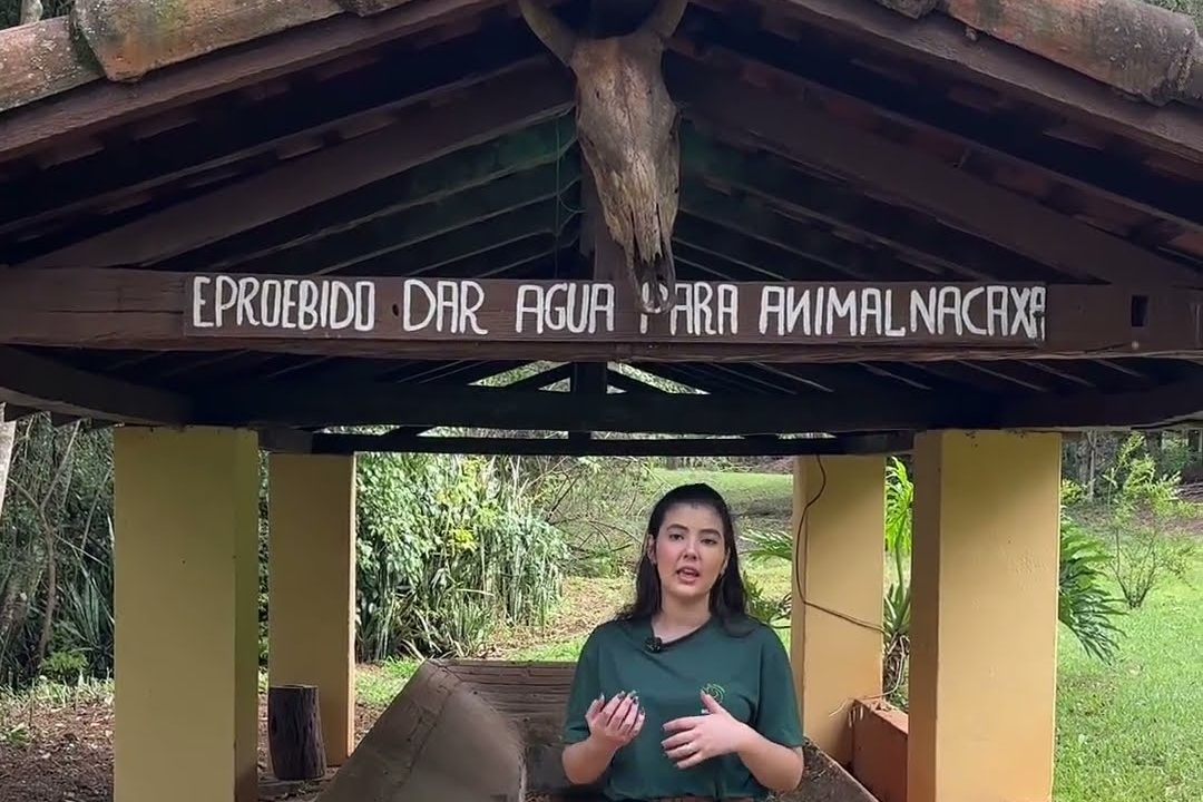 Você conhecia a história do tanque comunitário?