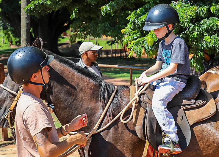 Cavalo e Criança