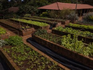 horta propria os produtos