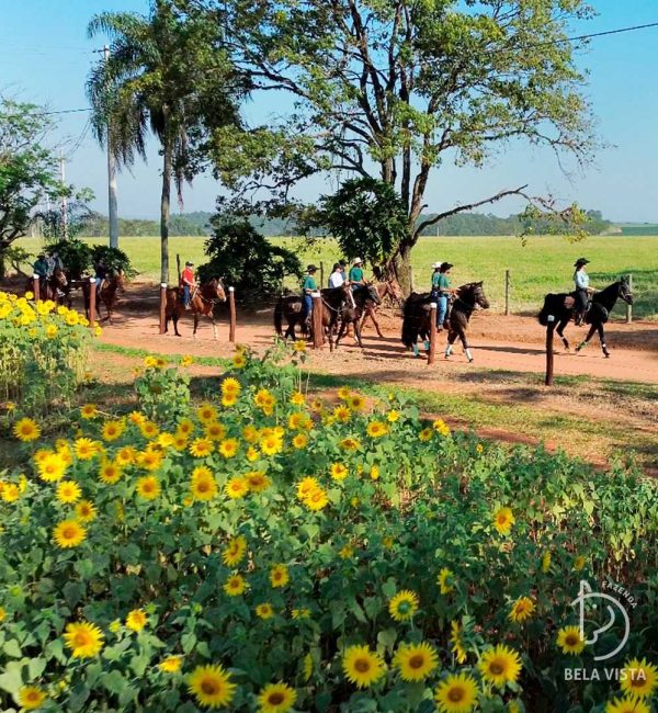 445066151 854558793369165 3803513820378072661 n