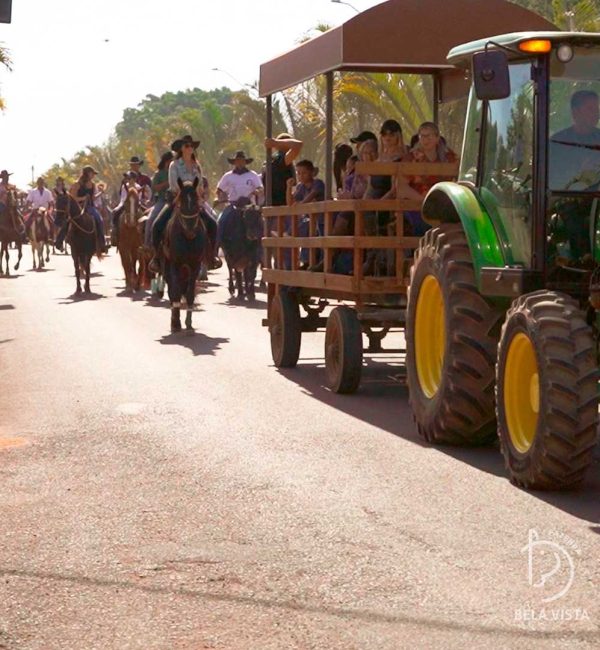 445180505 854558750035836 6276738668535198060 n