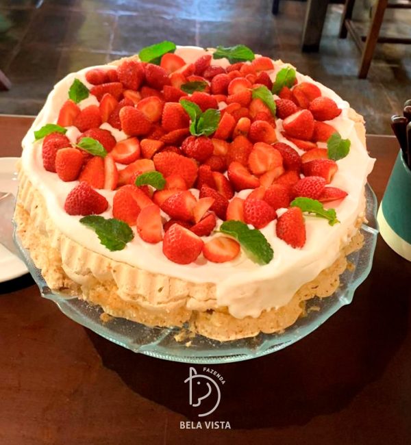 486309392 1072056871619355 5040003185627181238 n