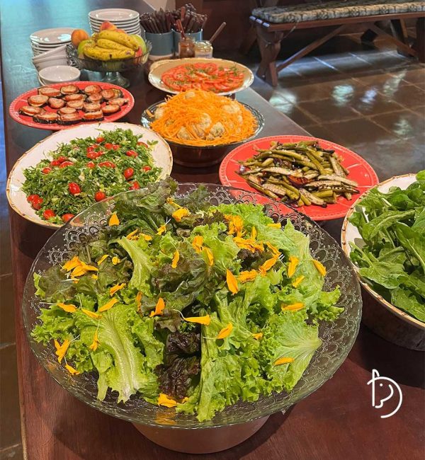 490221411 1086069716884737 7317588142551429778 n