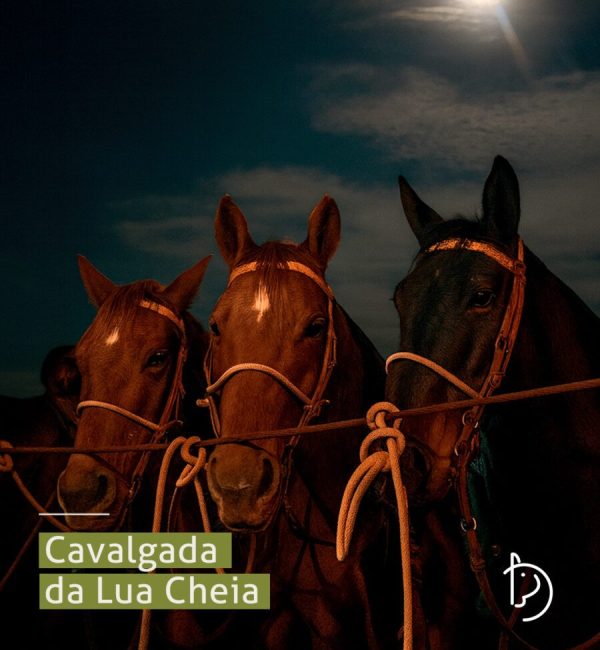 Cavalgada da Lua Cheia