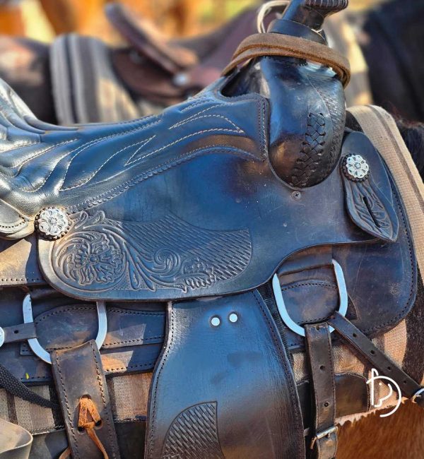 [FBV] [27 09 2025] [Carrossel] cavalgada 3