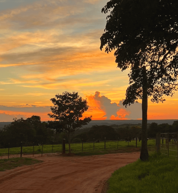 Paisagem Pôr do Sol