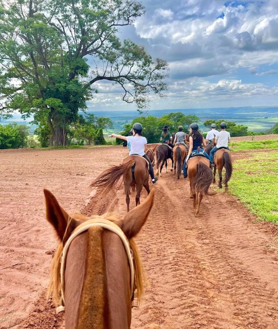 WhatsApp Image 2024 11 17 at 21.34.39